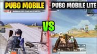 Image via PRINCIPLE YT (YouTube)
